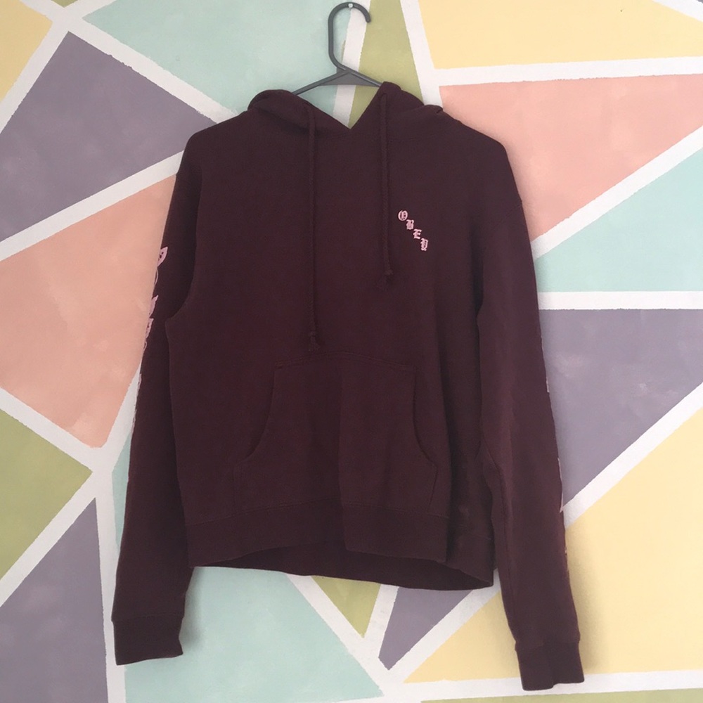 Cute Obey Hoodie!